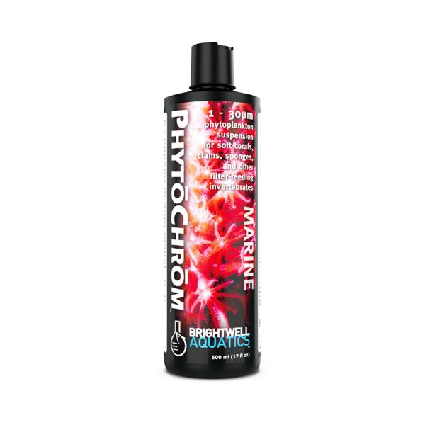 Phytochrom 1 - 30 micron