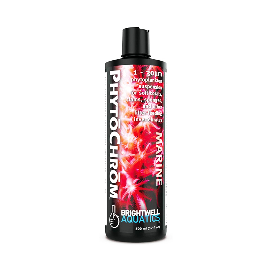 phytochrom (1)