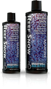 Reef Snow