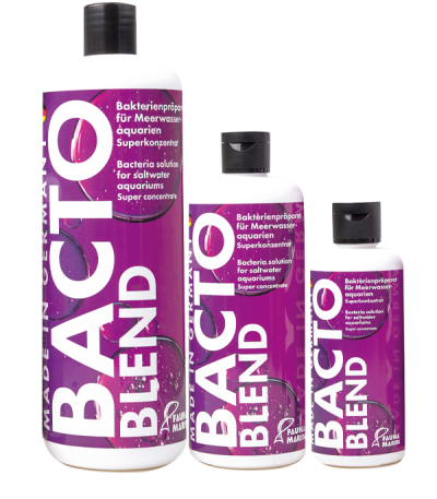 bacto blend