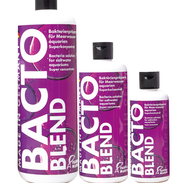 bacto blend
