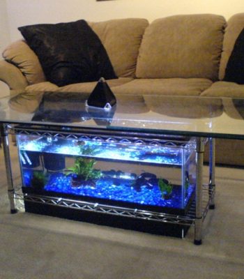 coffee table tanks