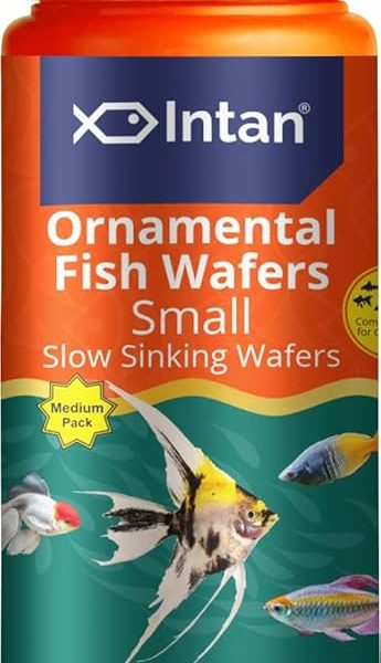 Intan - Ornamental Fish Wafers ( Small ) Medium 70g