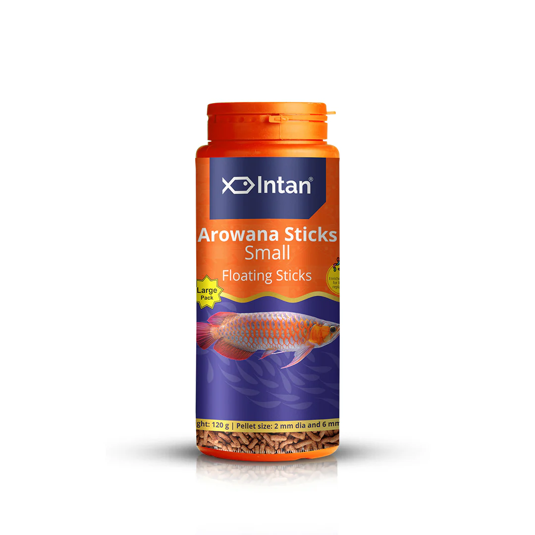 Intan_Growel_Arowana_Small_120g